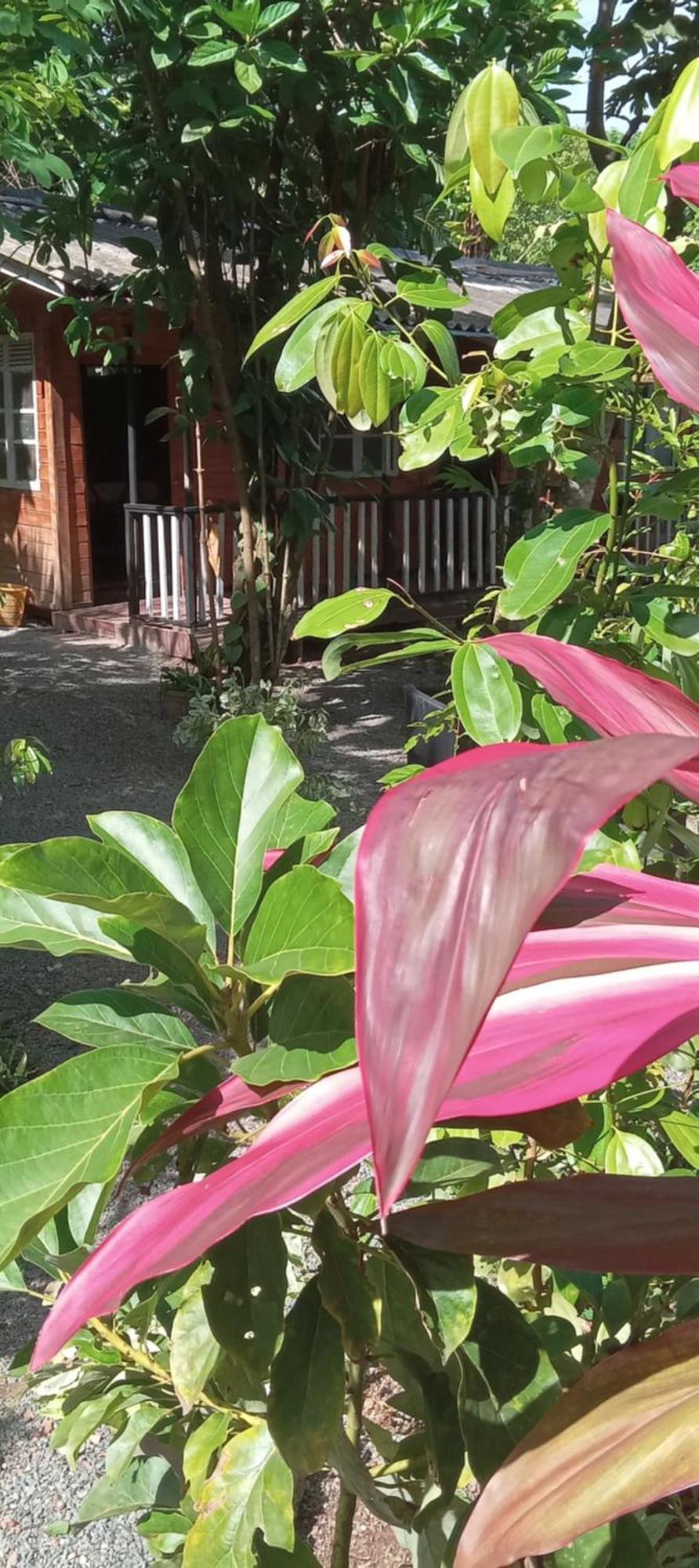 My House Apartment Ahangama